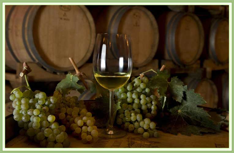 Albaranzeuli-Bianco-sardinian-wine