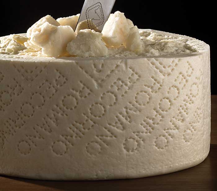 Pecorino cheese sardinian cheese food tour
